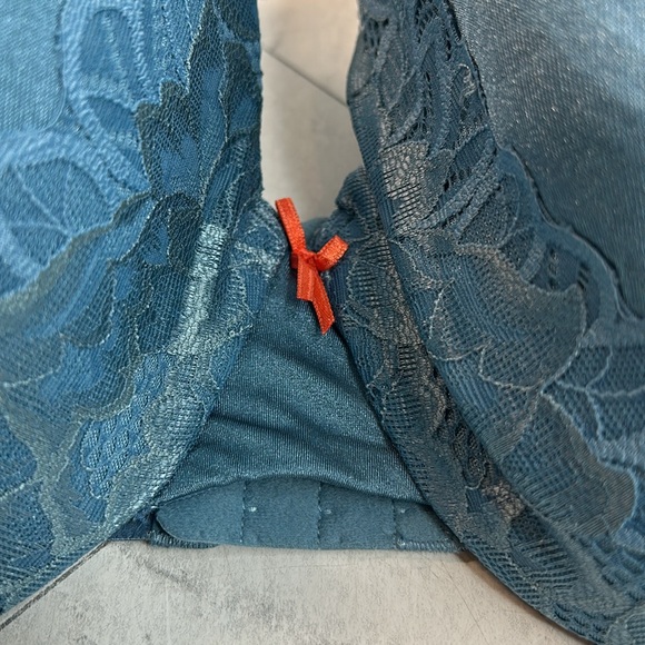 NWOT Cacique Lane Bryant Womans Bra Blue Lace Bow Full Coverage UNDERWIRE 42DDD - Picture 2 of 8
